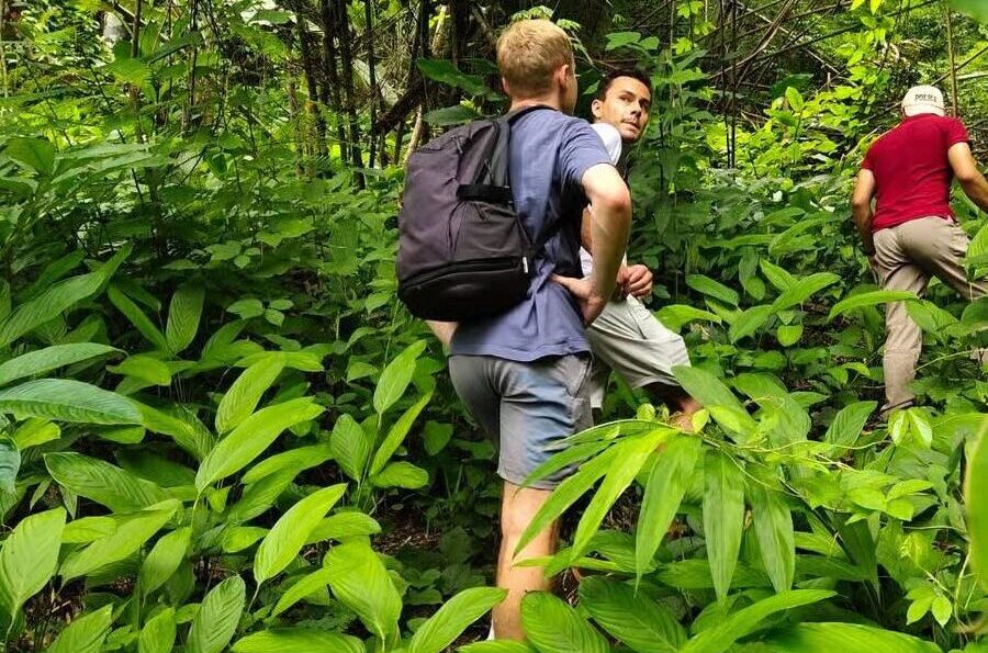 Bukit Lawang Trekking